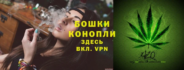 МДПВ Красноперекопск