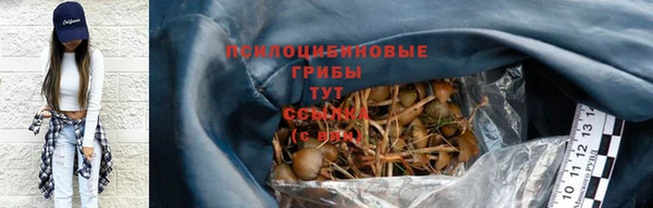 МДПВ Красноперекопск