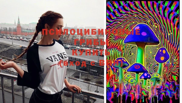 сатива Краснотурьинск