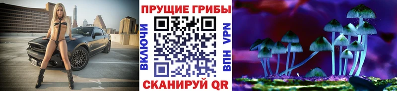 Псилоцибиновые грибы Psilocybine cubensis  Подпорожье 